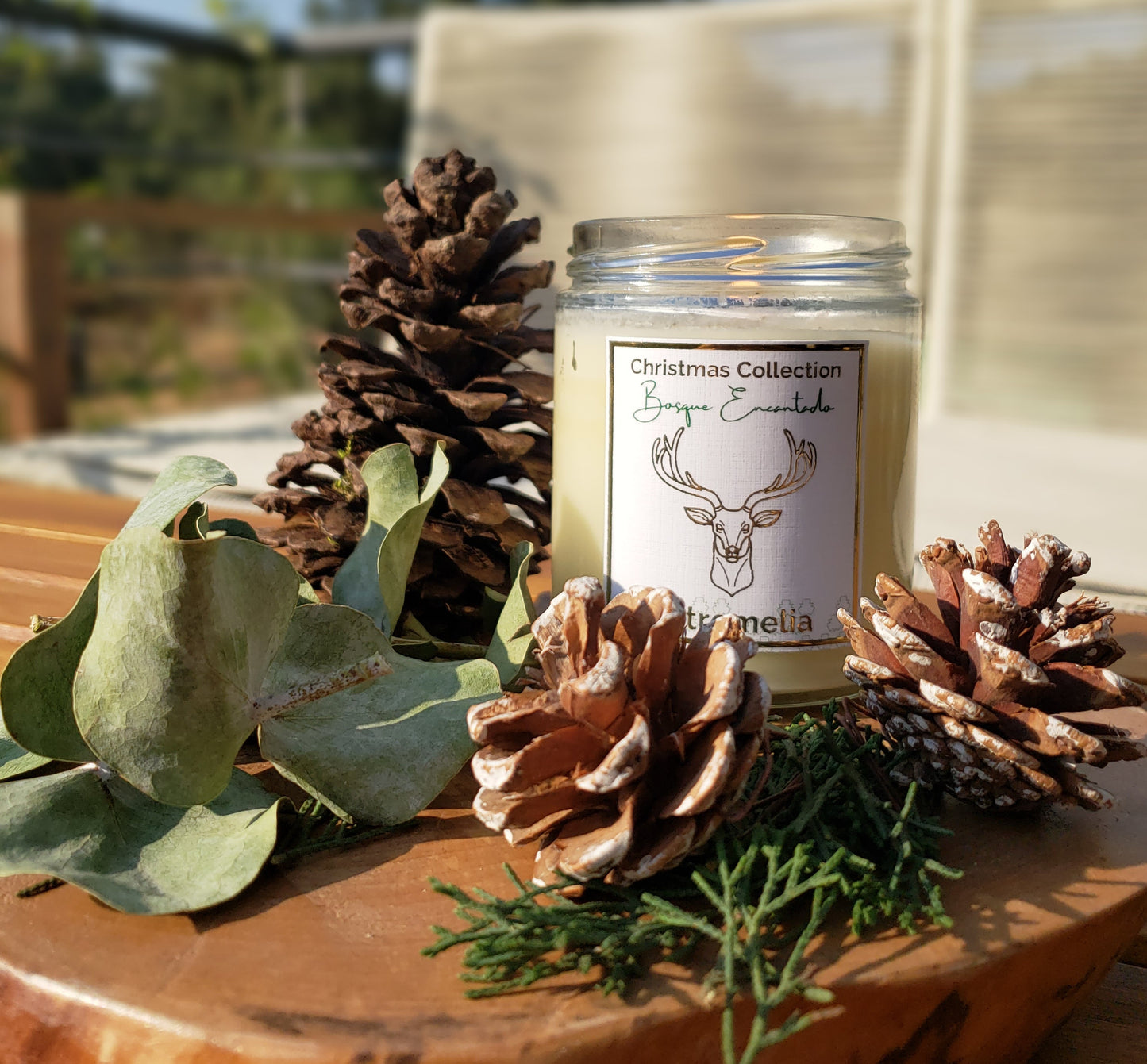Vela Aromática de soja Bosque Encantado