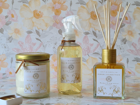 Kit Eterna Primavera